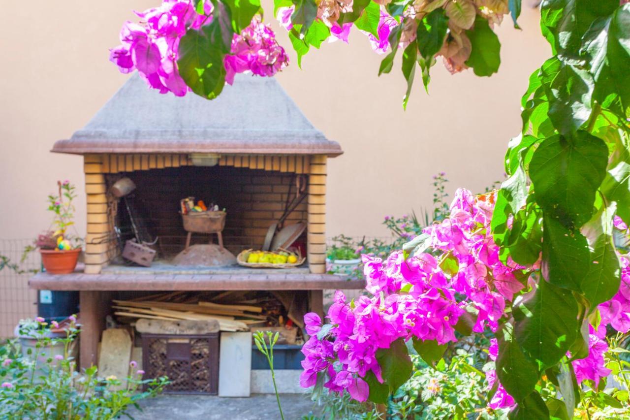 Green Garden Rooms & Apartments Makarska Dış mekan fotoğraf